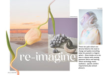 Load image into Gallery viewer, CONCEPTS PARIS SS2025