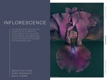 Load image into Gallery viewer, TRENDHUB LONDON LINGERIE AW24/25