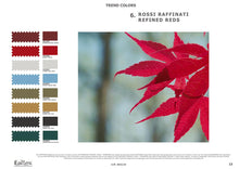 Load image into Gallery viewer, ITALTEX COLOUR TRENDS AW2022/23