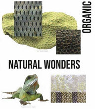 Load image into Gallery viewer, A+A SURFACES SS2021