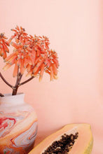 Load image into Gallery viewer, Nelly Rodi WOMEN's SS2021