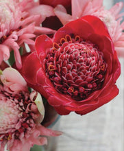 Load image into Gallery viewer, NELLY RODI BEAUTY LAB AW2021/22