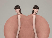 Load image into Gallery viewer, PANTONEVIEW COLOUR PLANNER AW21/22.