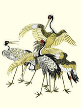 Load image into Gallery viewer, ETHNIC JAPAN STYLE