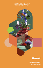 Load image into Gallery viewer, Nelly Rodi COLOR INTELLIGENCE AW2022/23