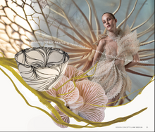 Load image into Gallery viewer, CONCEPTS PARIS AW2023/24