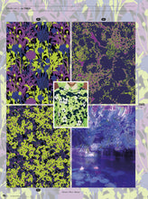 Load image into Gallery viewer, MOODSIGN PRINTS & COLORS AW2023/24