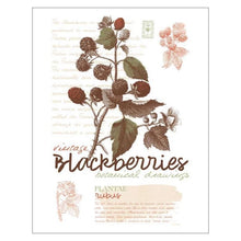 Load image into Gallery viewer, SIMPLE NATURE GRAPHICS Vol. 1