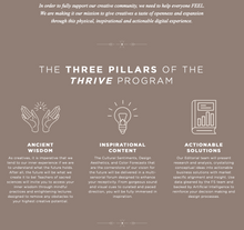 Load image into Gallery viewer, FASHION SNOOPS THRIVE PROGRAM