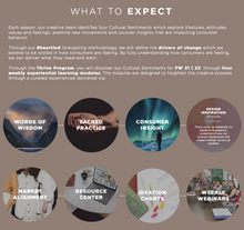 Load image into Gallery viewer, FASHION SNOOPS THRIVE PROGRAM