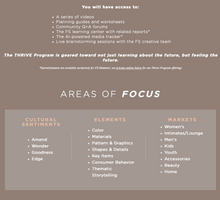 Load image into Gallery viewer, FASHION SNOOPS THRIVE PROGRAM