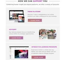 Load image into Gallery viewer, FASHION SNOOPS - ONLINE TRENDS FORECASTING