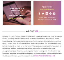 Load image into Gallery viewer, FASHION SNOOPS - ONLINE TRENDS FORECASTING