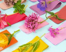 Load image into Gallery viewer, LUMINARY COLOUR SS2022