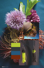 Load image into Gallery viewer, Nelly Rodi COLOR INTELLIGENCE AW2022/23