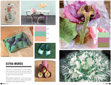 Load image into Gallery viewer, Nelly Rodi COLOR INTELLIGENCE SS2023