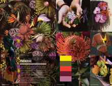 Load image into Gallery viewer, Nelly Rodi COLOR INTELLIGENCE SS2023