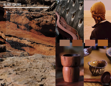 Load image into Gallery viewer, Nelly Rodi COLOR INTELLIGENCE AW2023/24