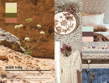 Load image into Gallery viewer, Nelly Rodi COLOR INTELLIGENCE SS2024