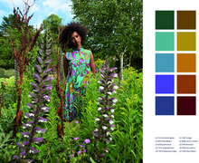 Load image into Gallery viewer, LUMINARY COLOUR SS2024