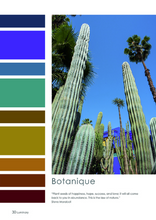 Load image into Gallery viewer, LUMINARY COLOUR SS2024