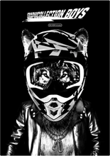 Load image into Gallery viewer, GRAPHICOLLECTION BOYS Vol. 1