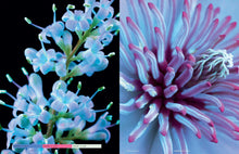 Load image into Gallery viewer, VIEWPOINT COLOUR #9