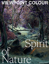 Load image into Gallery viewer, VIEWPOINT COLOUR #9