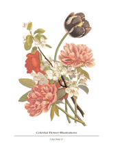 Load image into Gallery viewer, BELLE FLOWERS
