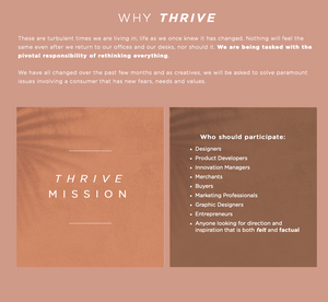 FASHION SNOOPS THRIVE PROGRAM