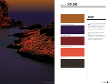 Load image into Gallery viewer, Nelly Rodi COLOR INTELLIGENCE AW2023/24
