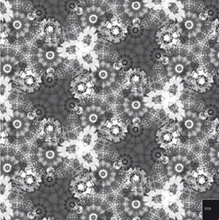 Load image into Gallery viewer, BLACK &amp; BYTE FLORAL

